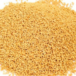 Lecitina-de-soja